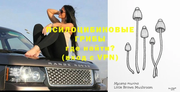 мдпв Михайловка
