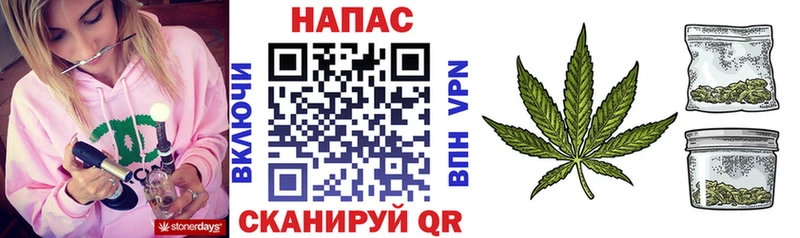 Бошки Шишки марихуана Люберцы